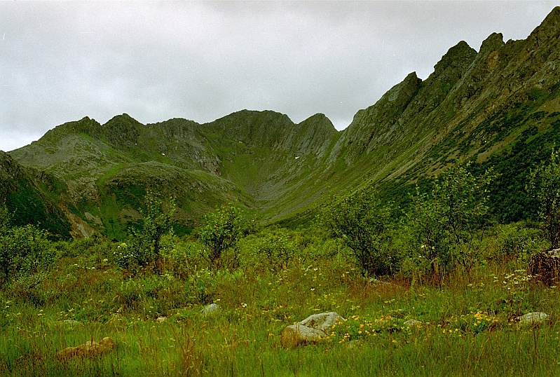 norwegia0167.jpg - Lo-fota 'nasycone soczystą zielenią zbocze górskie'. (Zdjęcie - Ania).