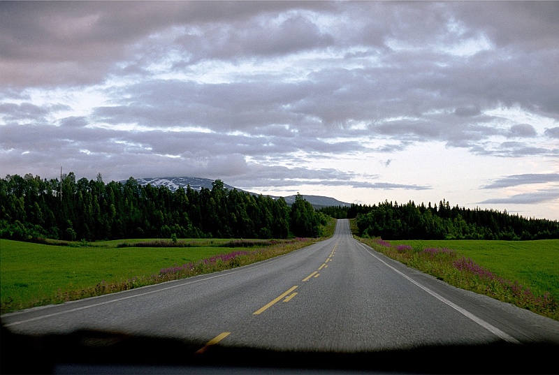 norwegia0350.jpg - A tak wygląda główna droga Norwegii łącząca północ z południem. Jednopasmowa, bez jednej dziurki, pusta, prawie bezludna. Piękna po prostu... (Zdjęcie - Ania).