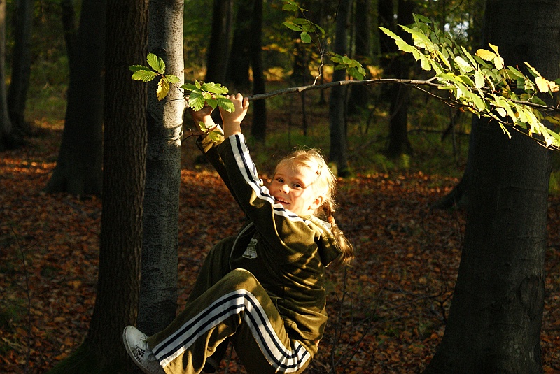 DSC09646.JPG - W Pisarzowicach pałętaliśmy się po lesie, szukaliśmy grzybów. Co bardziej zwinni i młodzi skakali po drzewach. :)