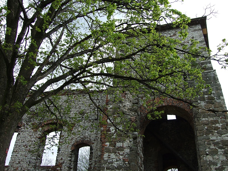 DSCF1599.JPG - Na dziedzińcu zamku w Tęczynku