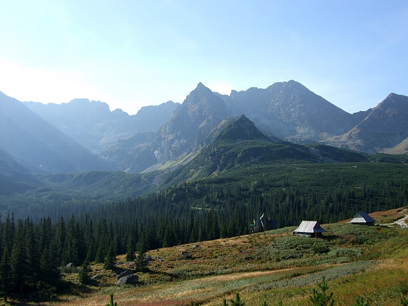 DSCF2277.JPG - Podejście pod Murowaniec, tym razem, dla odmiany odpuściliśmy żółty szlak (Dolinka Jaworzynki).