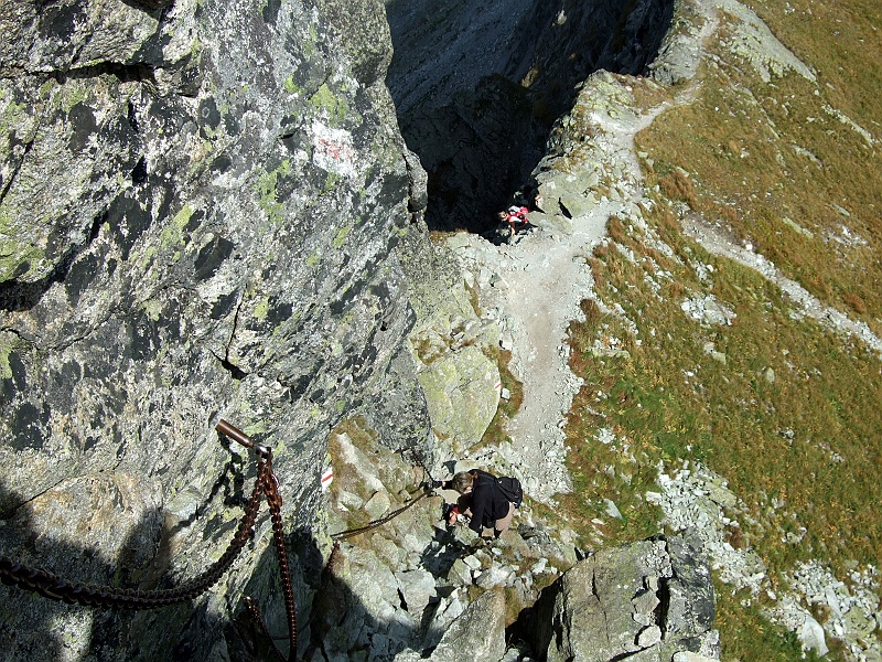 DSCF2347.JPG - Monika i Sokół zwinnie pokonują kolejne przeszkody. Sokół w tym momencie używa już tylko jednej nogi, ból się nasila.
