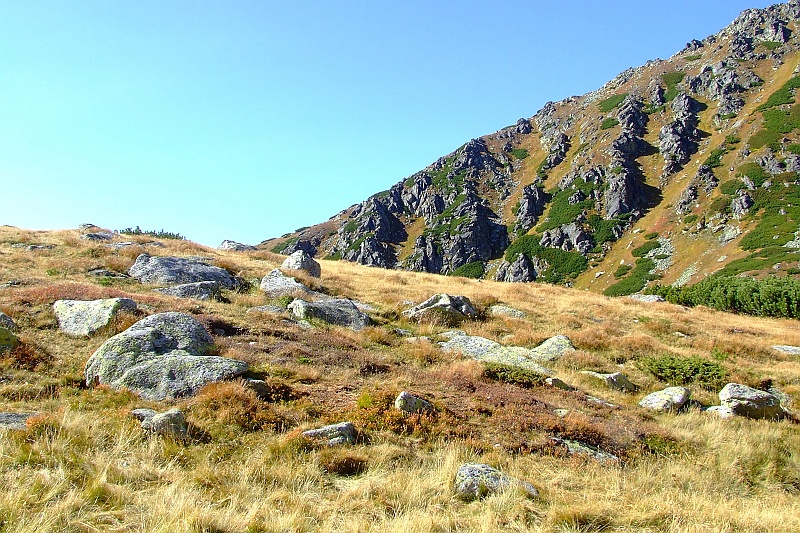 DSCF9268.JPG - Jesienne kolorki w górach to jest to. Eh, trzaba by jeszcze w tym roku pojechać w Bieszczady.