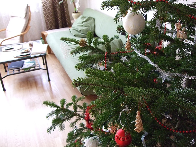 DSCF0678.JPG - Choinka, jeszcze w Krakowie. Tym razem nie uschła po tygodniu. ;)