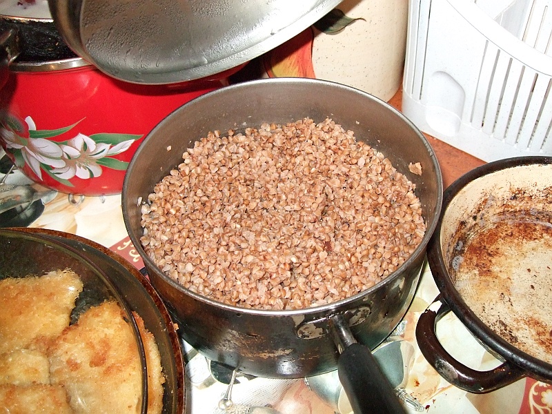 DSCF0707.JPG - Kasza przymila się kolorami