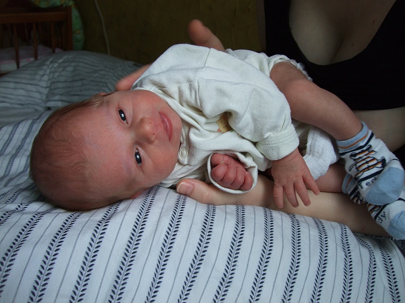 DSCF4127.JPG - Nabieranie ciałka jeszcze przede mną. Na razie reprezentuję wagę mrówczą.