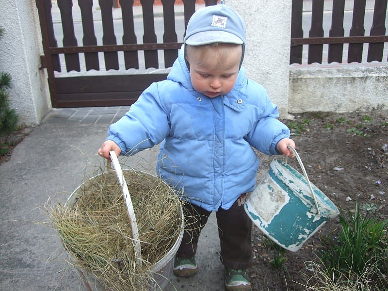 DSCF5580.JPG - U Dziadzia zajmuję się poważną i odpowiedzialną pracą. W końcu mam już prawie rok.