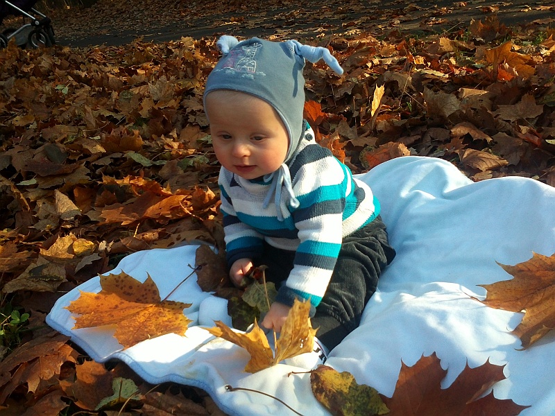 IMG004.jpg - Jesienna wyprawa na Zakrzówek.