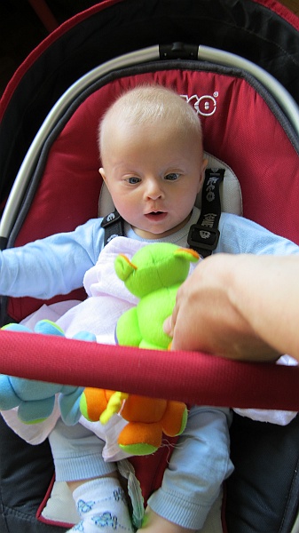 IMG_1691.JPG - Maskotki, maskotki. Tygrysy, słonie, kotki... :)