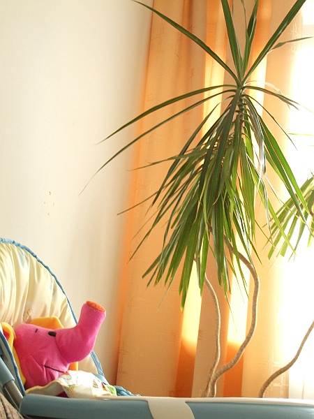 2007_1103_Swieto_zmarlych0185.JPG - A to jest słonik, perfidnie wykorzystywany do wzmagania apetytu dziecka. Znienawidzony konkurent do miski. "A jak Lenka nie zje zupki to słonik chetnie... Damy słonikowi Lenkową zupkę"?..