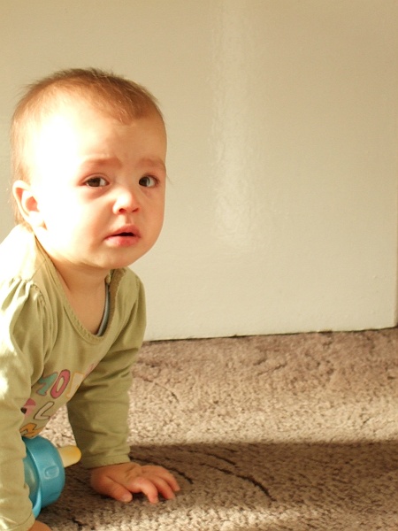 2007_1103_Swieto_zmarlych0194.JPG - Focha pokłosie.